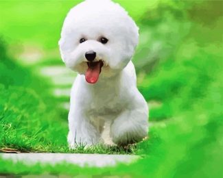 Cute Bichon Puppy diamond painting