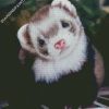 Cute ferret diamond paintings