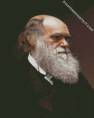 Darwin Portrait diamond painting