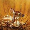 Deer Fawn Art diamond painting