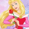 Disney Princess Aurora diamond painting