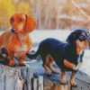 Doxie Dogs diamond painting