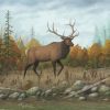 Elk Animal In Forest diamond painting