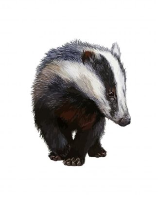 European badger animal diamond painting
