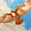 Flying Hawk Bird diamond painting