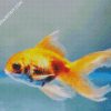 Goldfish Swimming diamond painting