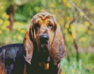Bloodhound Dog diamond painting