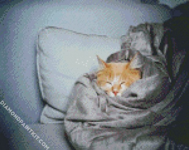 Cat Sleeping In A Blanket diamond painting