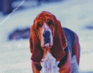 Cute Bloodhound In Snow diamond painting