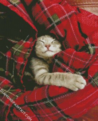 Cute Cat Sleeping In A Blanket diamond painting