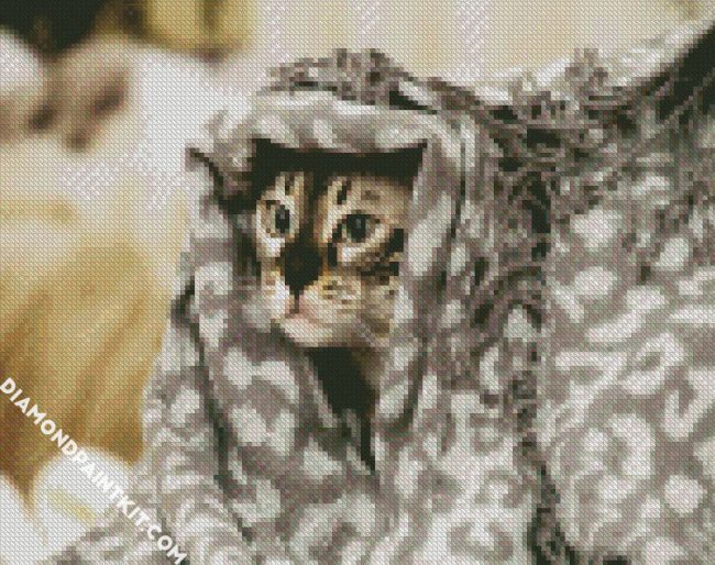 Cute Cat With A Blanket diamond painting