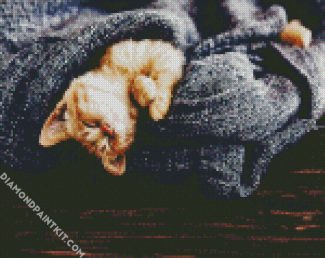 Kitten Sleeping In A Blanket diamond painting