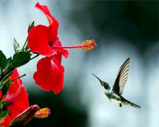 Hummingbird And Red Flower diamond painting
