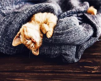 Kitten Sleeping In A Blanket diamond painting