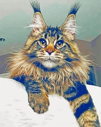 Maine Coon Cat Laying diamond painting