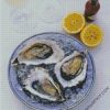 Oyster Meal And Lime diamond painting