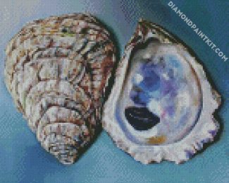 Oyster Shells diamond painting