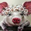 Pig With Flowers diamond painting