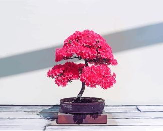 Pink Bonsai Tree diamond painting