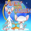 Pinky And Brain diamond painting