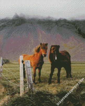 Pony Horses diamond painting