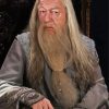 Professor Albus Dumbledore diamond painting