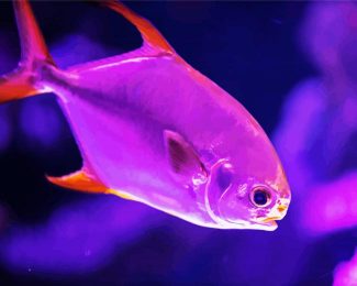 Purple Saltwater Fish diamond painting