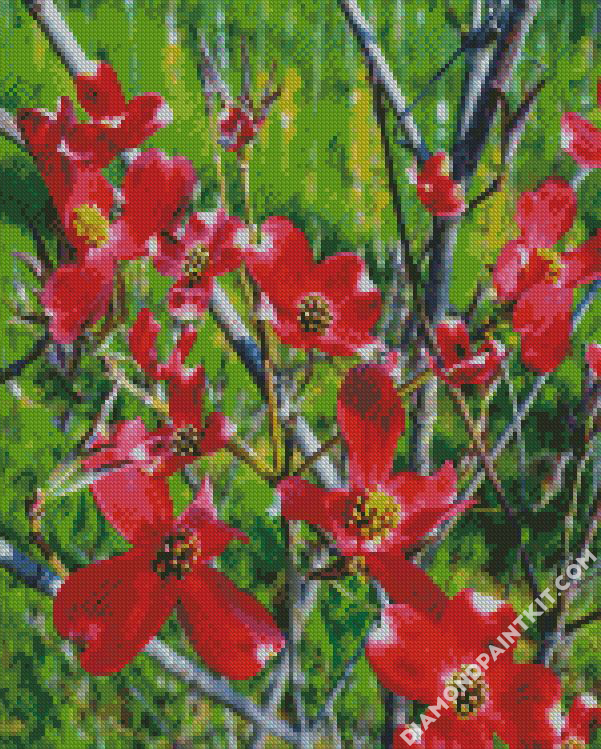 Red Dogwood Flowering Plant diamond paintings