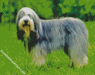 Sheepdog Animal diamond painting