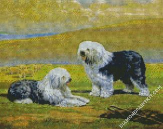 Sheepdogs Art diamond painting