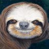 Sloth Face diamond painting