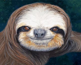 Sloth Face diamond painting