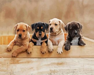 Staffordshire Bull Terrier Puppies diamond painting