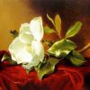 The magnolia Plant diamond painting