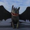 Toothless How To Train Your Dragon diamond painting