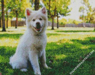 White Siberian Husky Puppy diamond painting