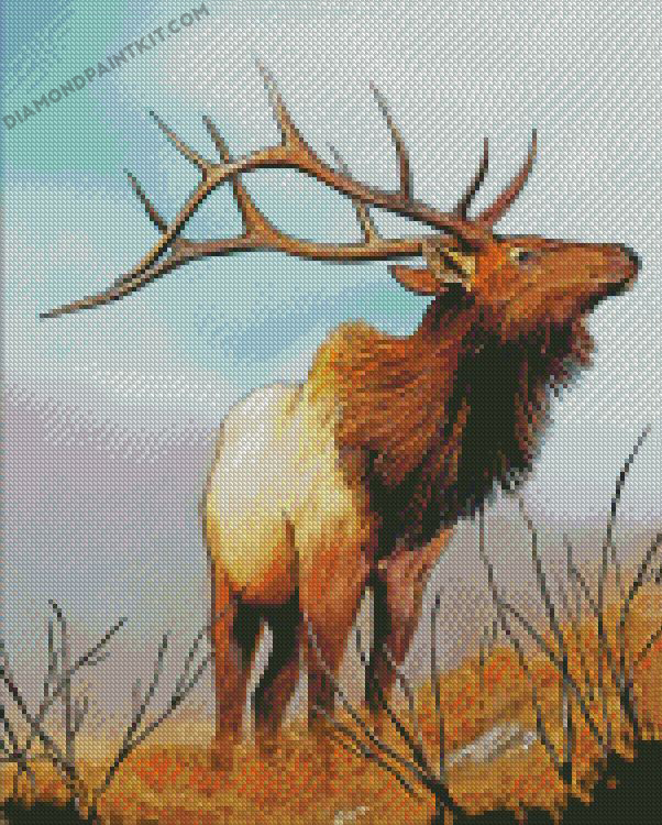 Wild Elk diamond paintings