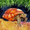 Wild Tortoise diamond painting