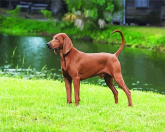aesthehtic brown Coonhound diamond painting