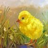 Aesthetic Chick Bird diamond painting