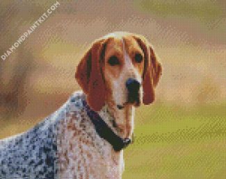 aesthetic Coonhound dog diamond paintings