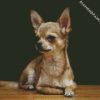 Aesthetic Chihuahua Dog diamond painting