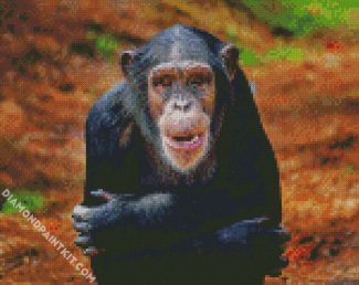 Aesthetic Chimpanzee diamond painting