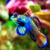 aesthetic colorful fish diamond painting