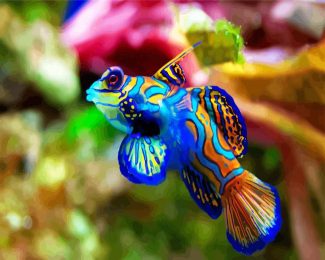 aesthetic colorful fish diamond painting