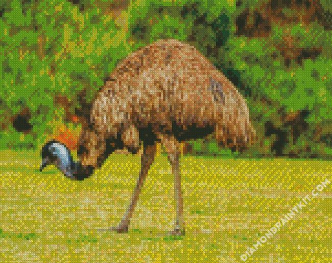 emu bird diamond paintings