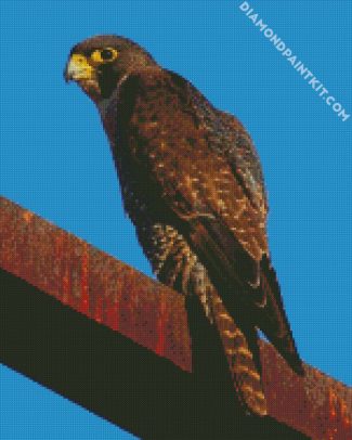 falcon bird animal diamond paintings