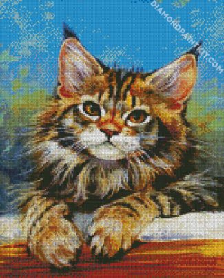 Aesthetic Maine Coon Cat diamond painting