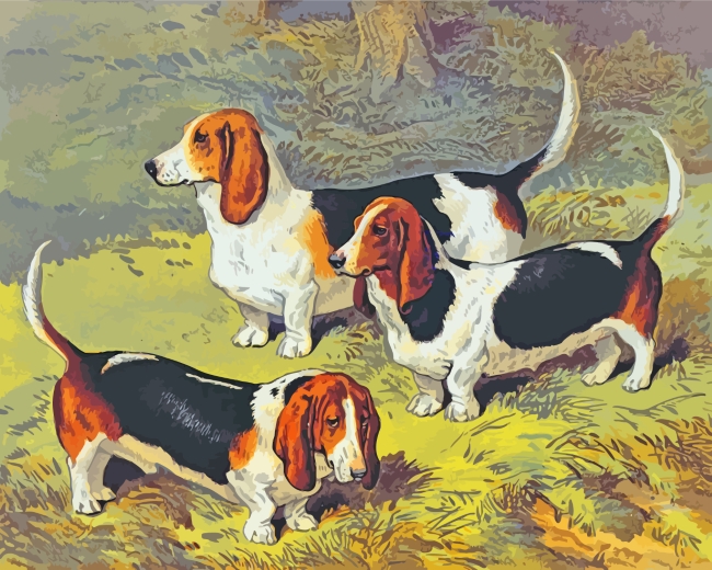 basset hounds Dogs diamond painting