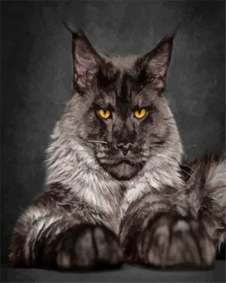 Black And Grey Maine Coon diamond painting